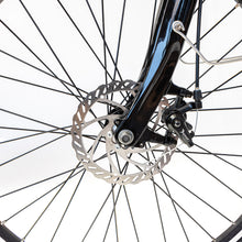 Cargar imagen en el visor de la galería, Bicicleta Eléctrica Cityzen Silver