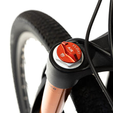 Cargar imagen en el visor de la galería, Bicicleta Eléctrica Moutainbike Carbon Mamba
